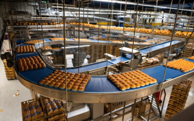 Linkedin Casestudie: Bakker Schat